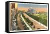 Eastern Parkway and Brooklyn Museum, New York City-null-Framed Stretched Canvas