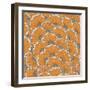 Eastern Pattern.-veraholera-Framed Art Print