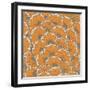 Eastern Pattern.-veraholera-Framed Art Print