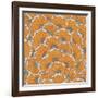 Eastern Pattern.-veraholera-Framed Art Print