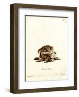 Eastern Red Bat-null-Framed Giclee Print