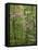 Eastern Redbud and Flowering Dogwood, Arlington County, Virginia, USA-Charles Gurche-Framed Stretched Canvas