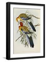 Eastern Rosella (Platycercus Eximius), First Edition, 1840-1869-John Gould-Framed Giclee Print