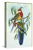 Eastern Rosella, Platycercus Eximius-Henry Constantine Richter-Stretched Canvas