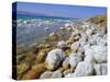 Eastern Shore of the Dead Sea, Jordan-Richard Ashworth-Stretched Canvas