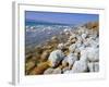 Eastern Shore of the Dead Sea, Jordan-Richard Ashworth-Framed Photographic Print
