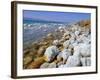 Eastern Shore of the Dead Sea, Jordan-Richard Ashworth-Framed Photographic Print