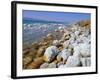 Eastern Shore of the Dead Sea, Jordan-Richard Ashworth-Framed Photographic Print