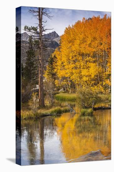 Eastern Sierra, Bishop Creek, California Outlet and Fall Color-Michael Qualls-Stretched Canvas