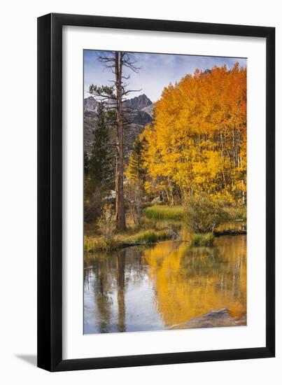 Eastern Sierra, Bishop Creek, California Outlet and Fall Color-Michael Qualls-Framed Photographic Print