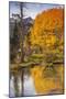 Eastern Sierra, Bishop Creek, California Outlet and Fall Color-Michael Qualls-Mounted Photographic Print