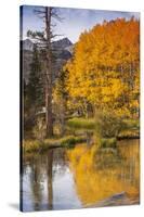 Eastern Sierra, Bishop Creek, California Outlet and Fall Color-Michael Qualls-Stretched Canvas