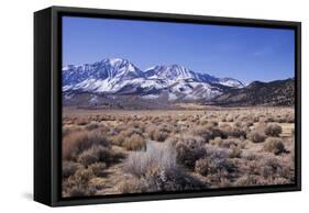 Eastern Sierra I-Rita Crane-Framed Stretched Canvas