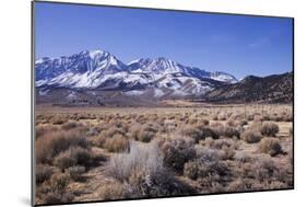 Eastern Sierra I-Rita Crane-Mounted Photographic Print