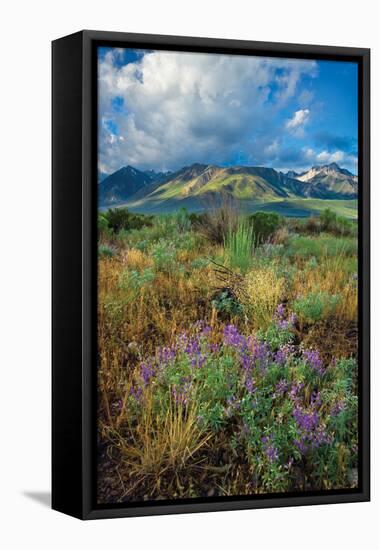 Eastern Sierra III-Mark Geistweite-Framed Stretched Canvas