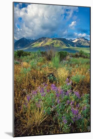 Eastern Sierra III-Mark Geistweite-Mounted Photographic Print