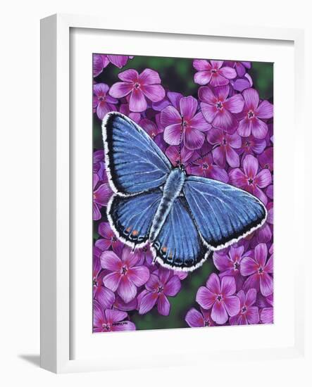 Eastern Tailed Blue-Marilyn Barkhouse-Framed Art Print