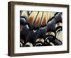 Eastern Tiger Swallowtail Butterfly Wing, Great Smoky Mountains National Park, Tennessee, USA-Darrell Gulin-Framed Photographic Print