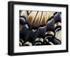 Eastern Tiger Swallowtail Butterfly Wing, Great Smoky Mountains National Park, Tennessee, USA-Darrell Gulin-Framed Photographic Print