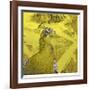 Eastern Twins 1-Mj Lew-Framed Giclee Print