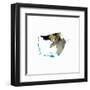 Eastern Visions 12-Jaclyn Frances-Framed Art Print