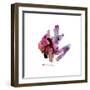 Eastern Visions 7-Jaclyn Frances-Framed Art Print