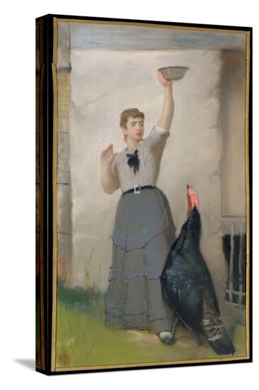 Stretched Canvas Print, , large