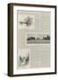 Eastwell Park-Charles Auguste Loye-Framed Giclee Print