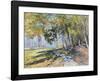 Easy Choice-Eduard Gurevich-Framed Art Print