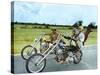 Easy Rider by DennisHopper with Dennis Hopper, Peter Fonda and Jack Nickolson, 1969 (motos Harley D-null-Stretched Canvas