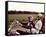 Easy Rider-null-Framed Stretched Canvas