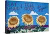 Eat Organic Building Mural, Salida, Colorado, USA-Walter Bibikow-Stretched Canvas