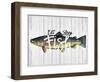 Eat, Sleep, Fish-null-Framed Giclee Print