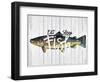 Eat, Sleep, Fish-null-Framed Giclee Print