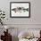 Eat, Sleep, Fish-null-Framed Giclee Print displayed on a wall