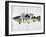 Eat, Sleep, Fish-null-Framed Giclee Print