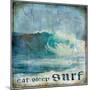 Eat Sleep Surf-Charlie Carter-Mounted Art Print