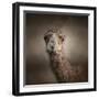 Eat Your Veggies Camel-Jai Johnson-Framed Giclee Print