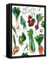 Eat Your Veggies-Elizabeth Medley-Framed Stretched Canvas