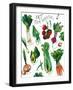 Eat Your Veggies-Elizabeth Medley-Framed Art Print