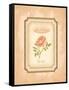 Eau de Parfum I-Delphine Corbin-Framed Stretched Canvas