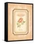 Eau de Parfum I-Delphine Corbin-Framed Stretched Canvas