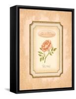 Eau de Parfum I-Delphine Corbin-Framed Stretched Canvas