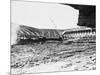 Ebbets Field-null-Mounted Photographic Print