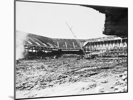 Ebbets Field-null-Mounted Photographic Print