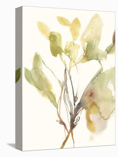Ebbing Leaves I-Jennifer Goldberger-Stretched Canvas