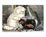 Persian Cat and Gold Fish-Ebby Hoyt-Art Print