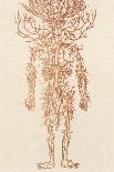 The Arteries of the Human Body-Ebenezer Sibly-Photographic Print