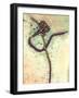 Ebola Virus Particles, TEM-Ami Images-Framed Photographic Print