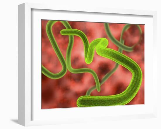 Ebola Virus Particles-Roger Harris-Framed Photographic Print